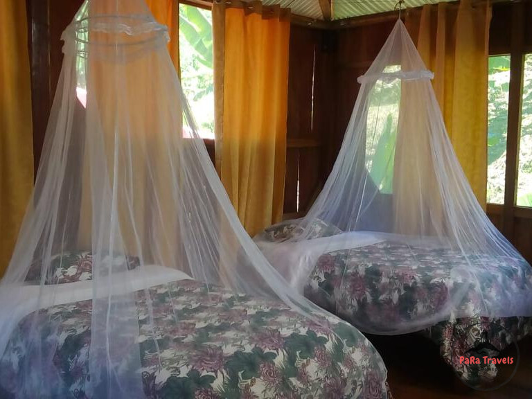 Amazon lodge beds
