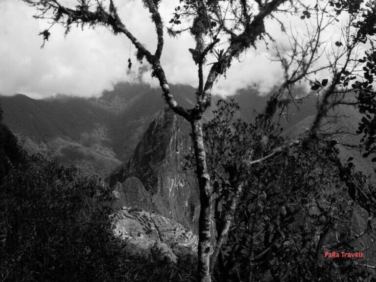 Machu Picchu landscape blackwhite