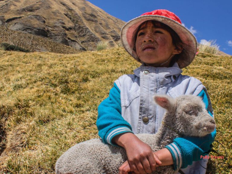 Peruvian girl with goat